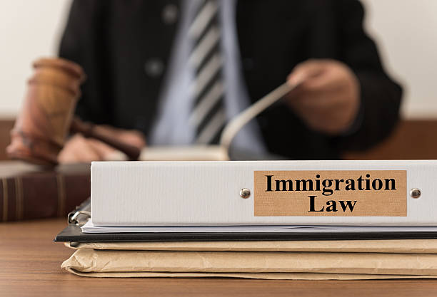 Legal Guardianship: How an Austin Immigration Lawyer Can Help You