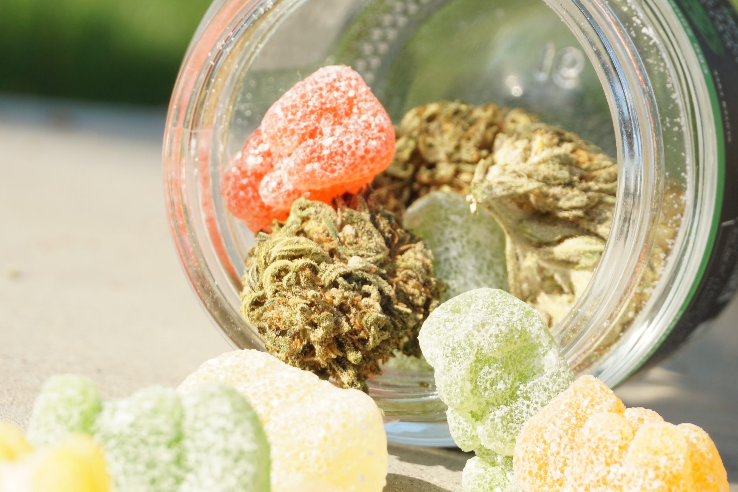 The Science of MG Edibles Why Every Milligram Counts